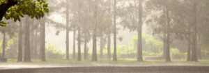 alluvione_3