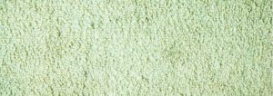 Moquette bagnata
